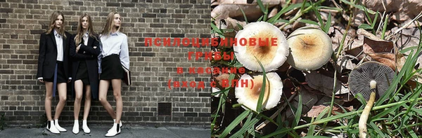 гашишное масло Заводоуковск