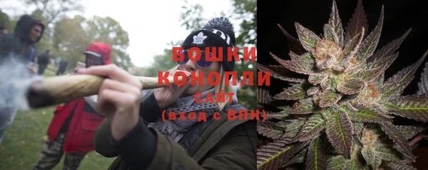 стафф Заволжск