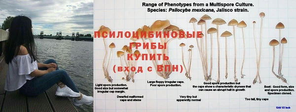 гашишное масло Заводоуковск