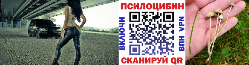 Псилоцибиновые грибы Psilocybe  Купить закладки  Яблоновский 